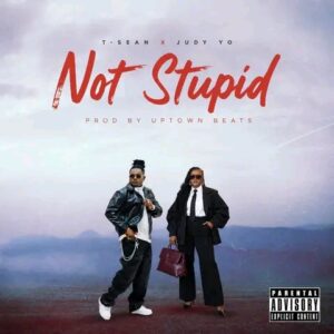 Not Stupid Mp3 Download